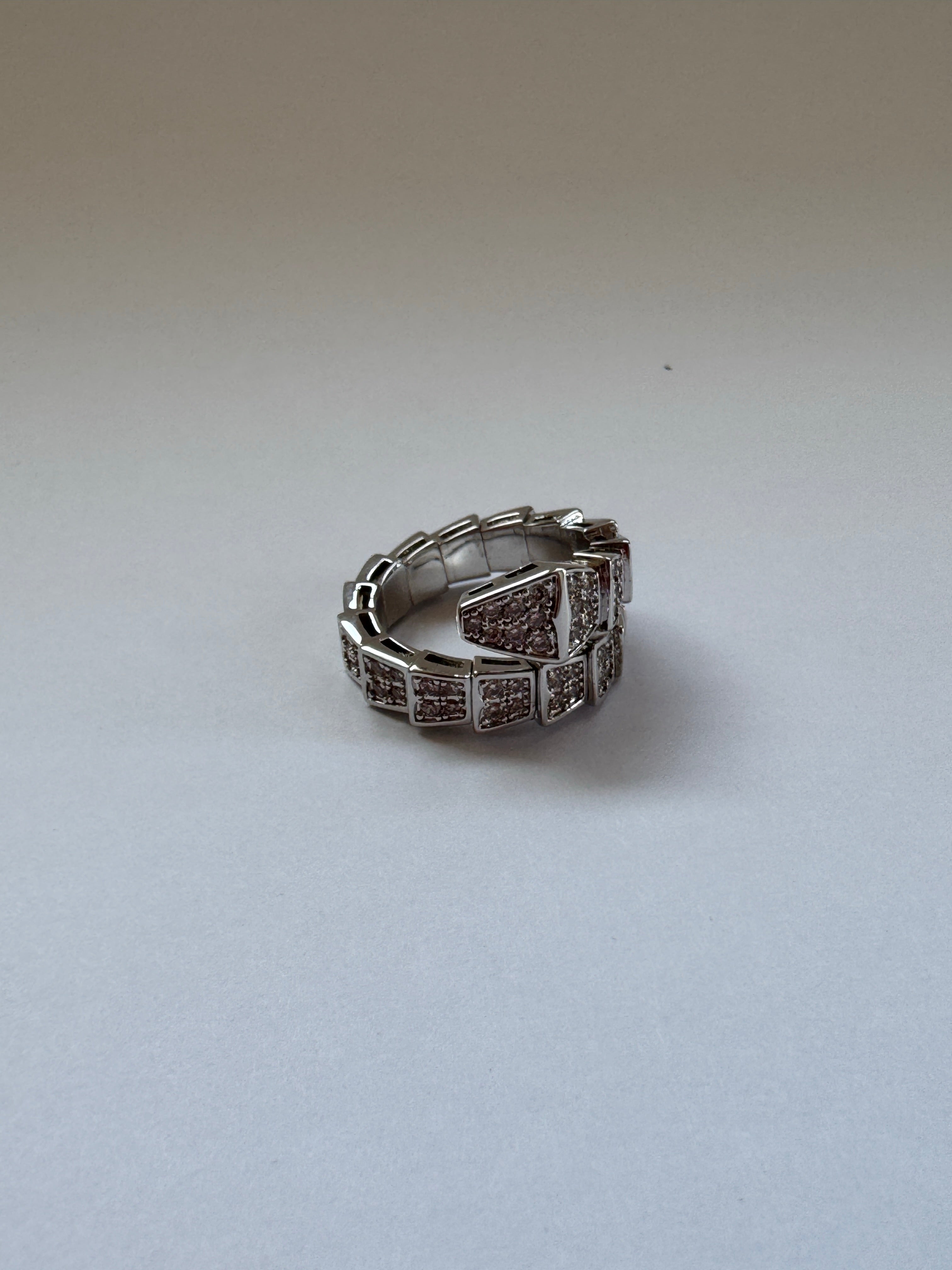 Serpent Stainless Steel Ring