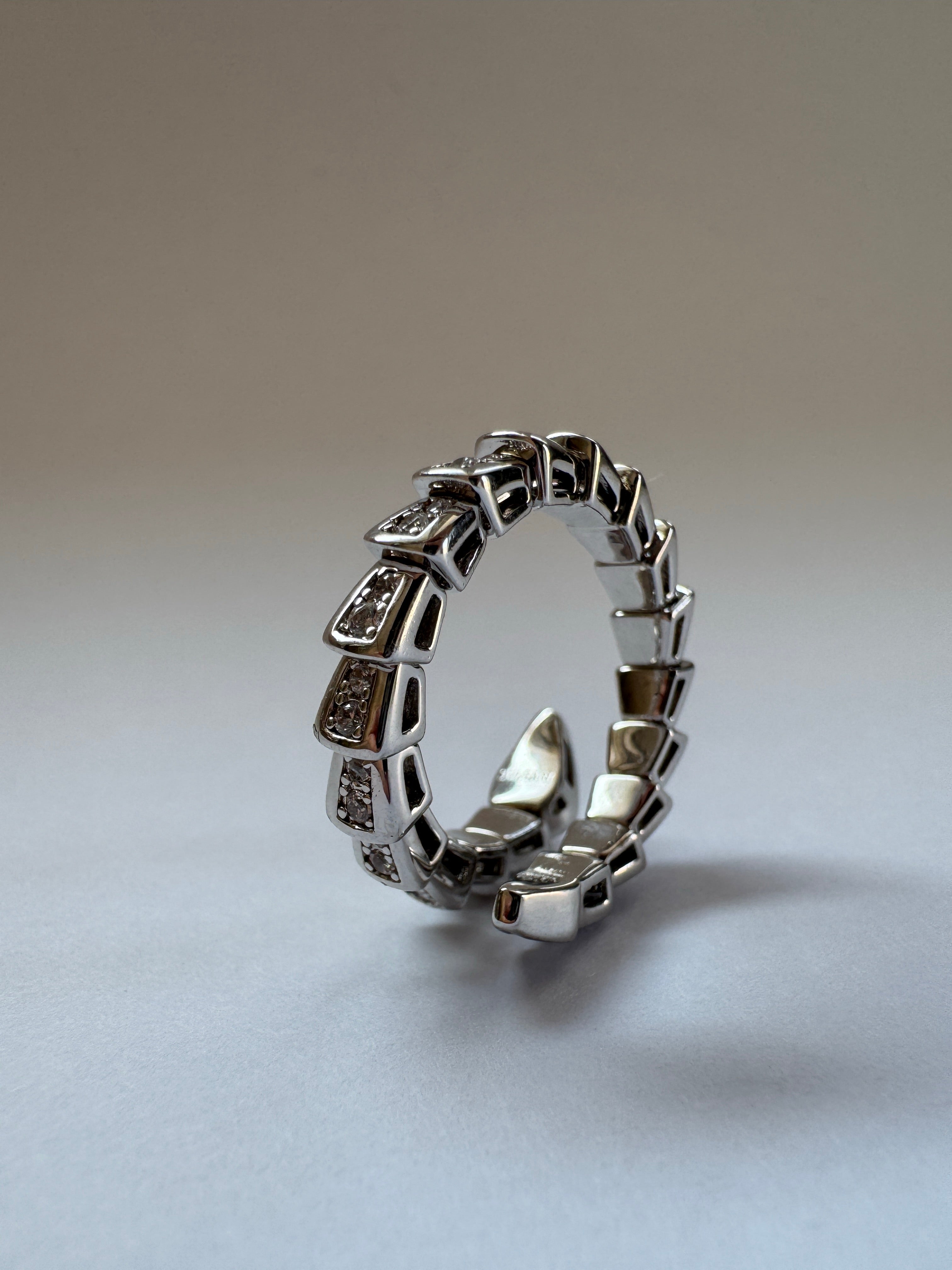 Single Serpent Stainless Steel Ring