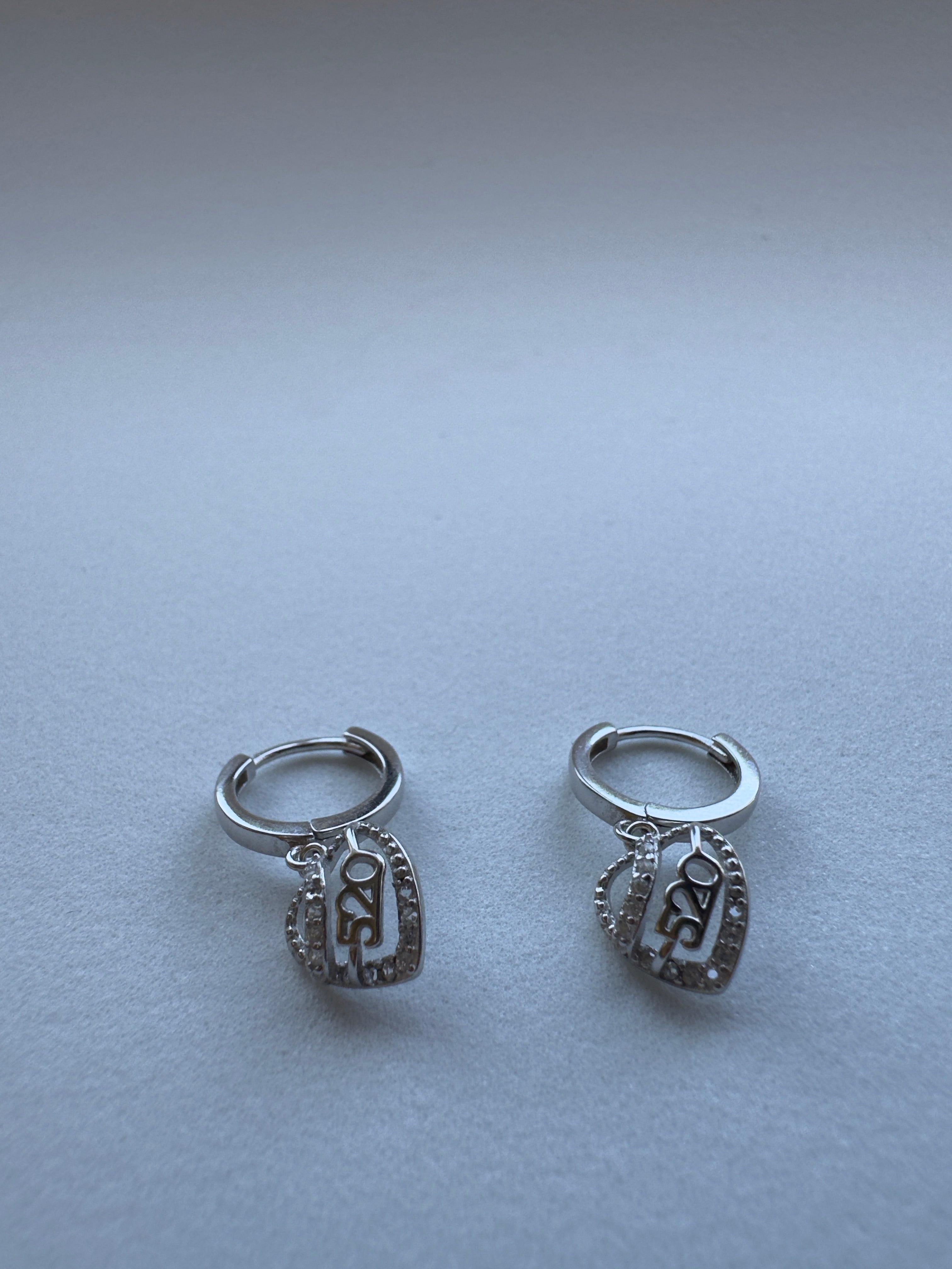 520 Silver Earrings